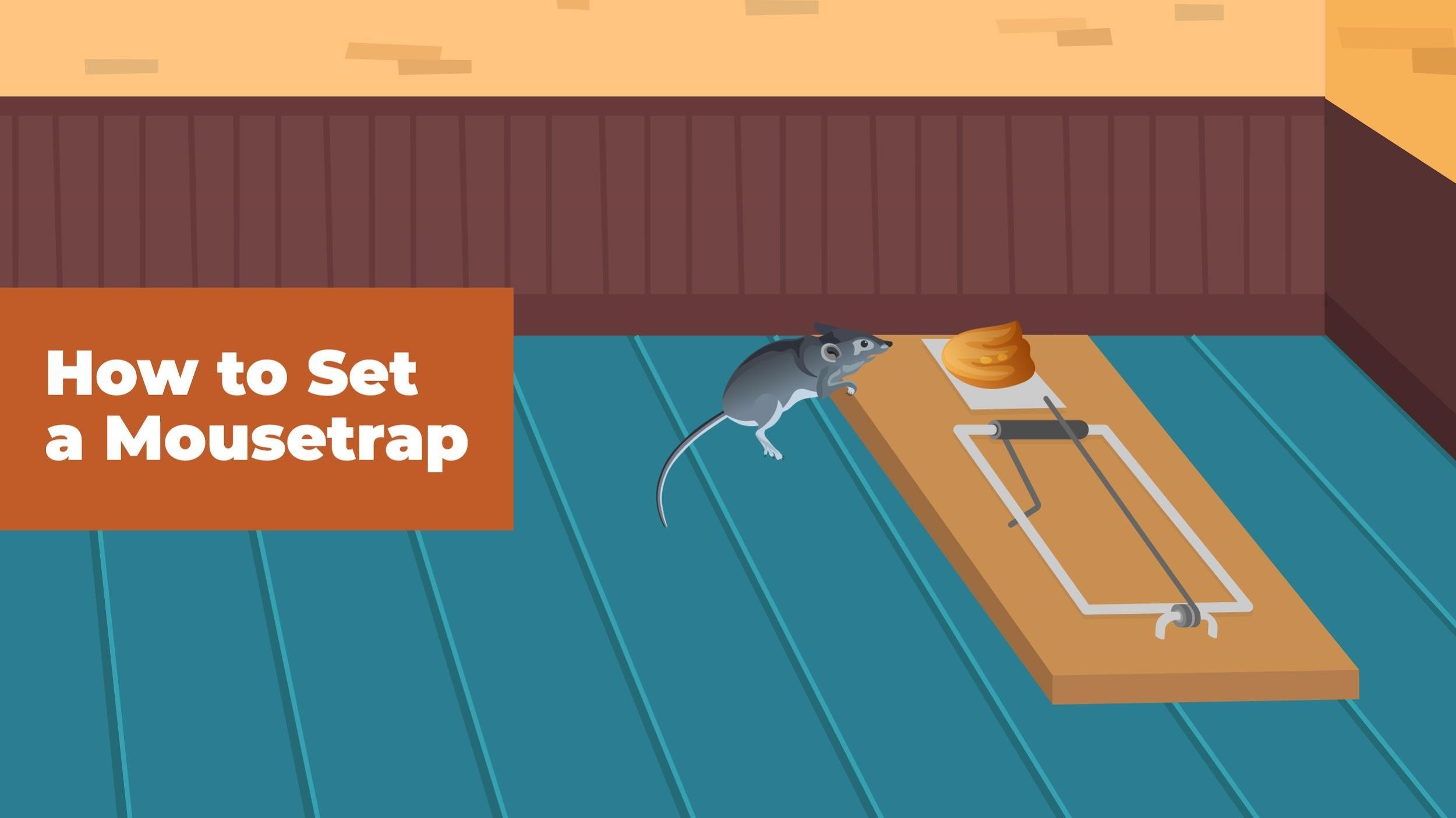 How to Trap a Mouse that Eats the Bait Off the Trap? - Midway Pest  Management